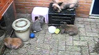 MVI_5900.AVI