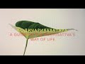8.Бодьсатвын явдалд орохуй | A Guide to the Bodhisattva&#39;s way of life | Lesson YIII