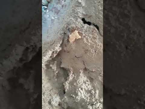 سبحان الله ساعد من حولك حتى لو كان نمل