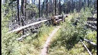 200815 Kings Hill Jeff single  track trail (rocky) part 3
