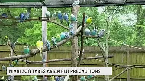 Niabi Zoo makes changes to keep birds safe from Avian Flu