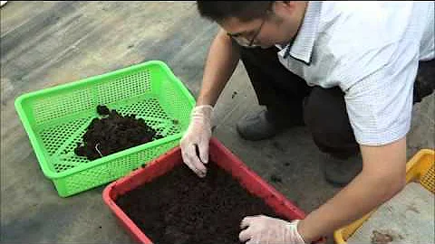 蚯蚓堆肥製作與利用(家庭版) - 天天要聞