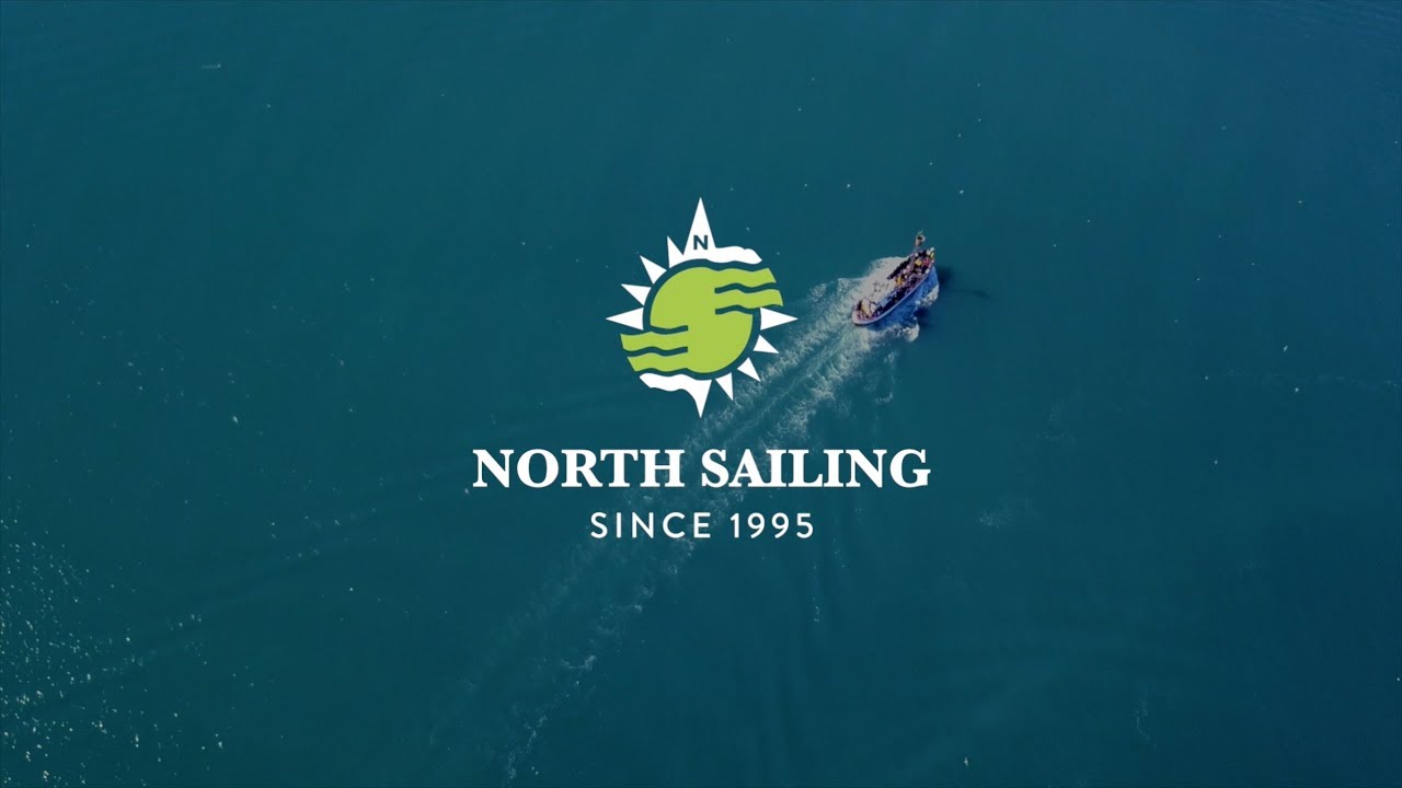 Whale Watching from Hjalteyri Iceland with North Sailing