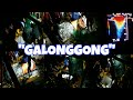 GALONGGONG