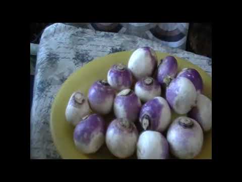 Video: Rutabaga Recepty