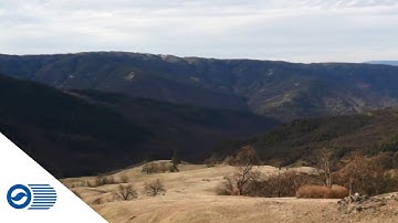 Forest offset project benefits tribes and state