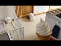愛犬にバレないようこっそりアイスを食べてみた