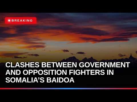 Clashes between government and opposition fighters — What's Next?