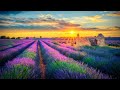 432Hz | Let Go Of All Negative Energy - The DEEPEST Healing Meditation Music For Self Love