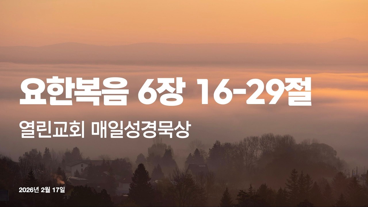 2026년 2월 17일