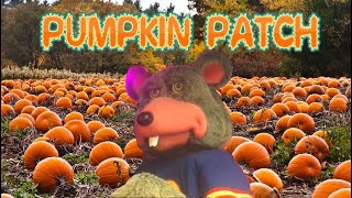 Pumpkin Patch | Chuck E Cheese's Hicksville NY | Show 6, 2018