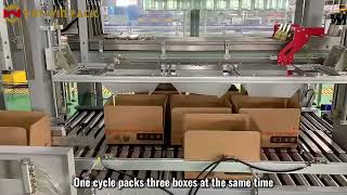 WIN-WIN PACK Pick and Place Case Packer for Rice Wine Glass Bottles | Case Packer #casepacker