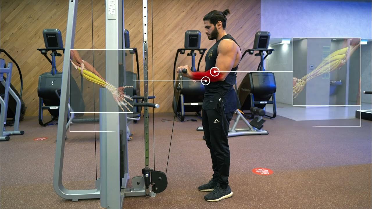 Cable Overhand Wrist Curls YouTube