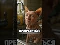 Этот человек живёт, покрытый чёрной пылью 😳 #short
