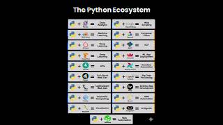 The Python Ecosystem: Skills Every Developer Must Master 🐍