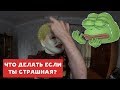 ХИККАН №1 | ВАЖНО! ЧТО ДЕЛАТЬ ЕСЛИ ТЫ СТРАШНАЯ ? | БАБУЛЯ ХИККАНА