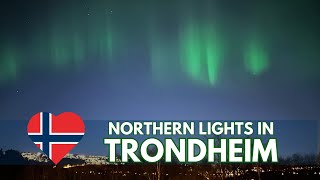 Northern Lights in Trondheim | Awesome Aurora Display in Trondheim, Norway by Life in Norway 4,034 views 1 month ago 3 minutes, 15 seconds