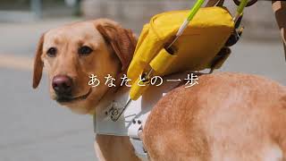 Town and Guide Dog Project 2026 - TV Commercial (60-second version)