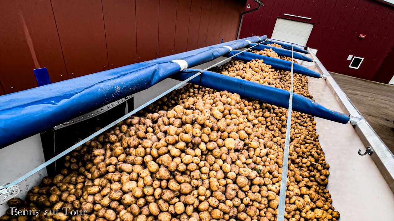 Kartoffeln, Hafer & Werkstatt – so sieht meine Trucking-Woche aus! Bvw #49 Teil 2