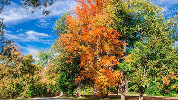 Photoshop: Senior Edition - Camera RAW and Using HSL