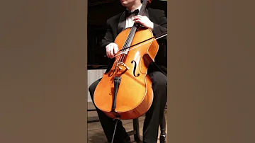 Sounds Of Musical Instruments Cello 