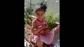 Luma Yapay Zekayla Fotoğraftan Video Oluşturma Denemeleri