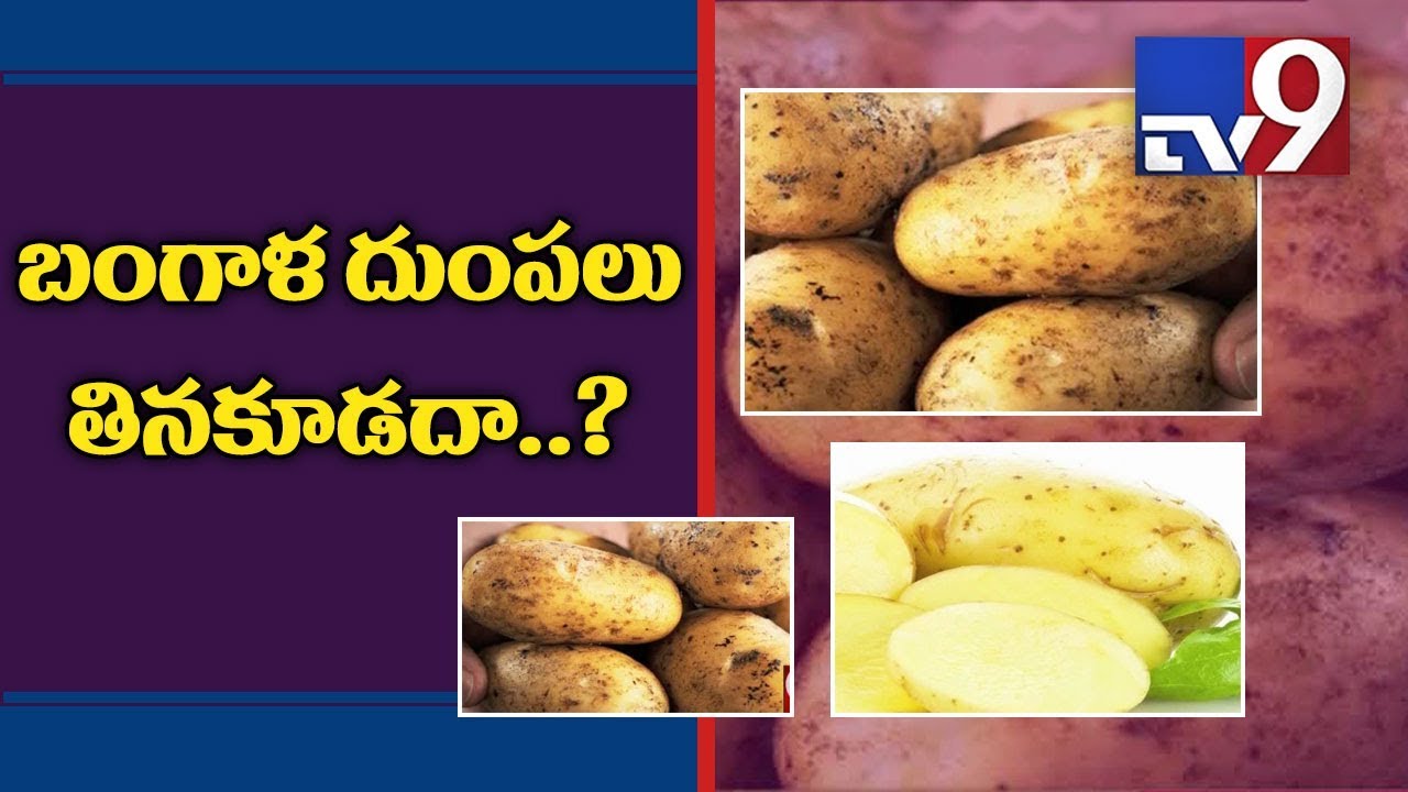 Beware of potatoes, they cause arthritis! TV9 YouTube