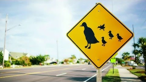 SHORT_How a driverless sees the road - Chris Urmson "TedTalks"