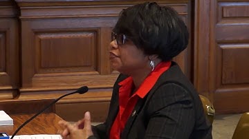 Missouri Sen. Jamilah Nasheed Explains the Need for Senate Bill 344