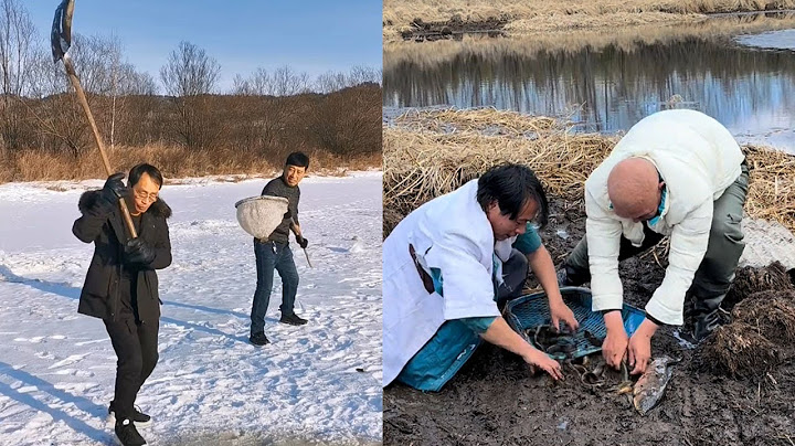 【搞笑漁民真實生活】日出日落，勤勤恳恳！#fishing #funny #carpfishing #抓鱼