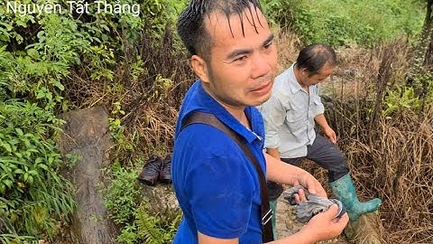 Đán Dầu 3 ẩn sâu trong rừng già không biết đường về. Nguyễn Tất Thắng