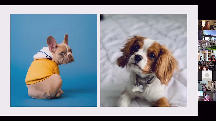 Thinking Dogs - A Talk by Julia Espinosa