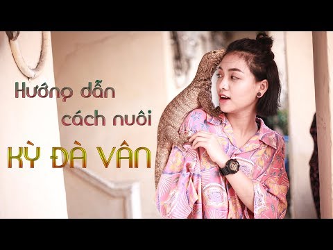 Video Hướng dẫn nuôi và thuần kỳ đà vân - How to keep and... - youtube