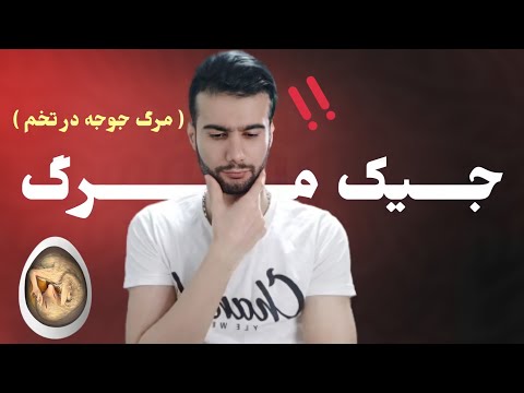 تصویری: نحوه آموزش ترفندهای ماهی