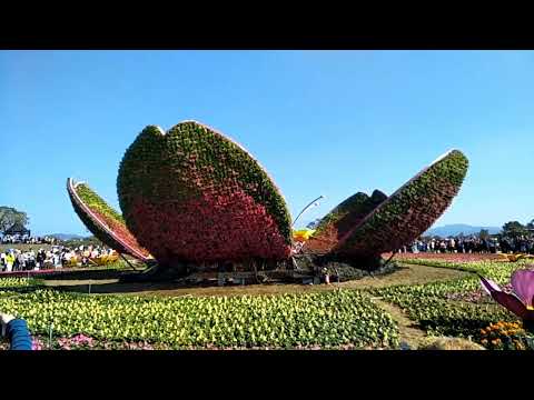 蔡秋鳳-心愛的歹識     台語歌詞標誌+字幕版c