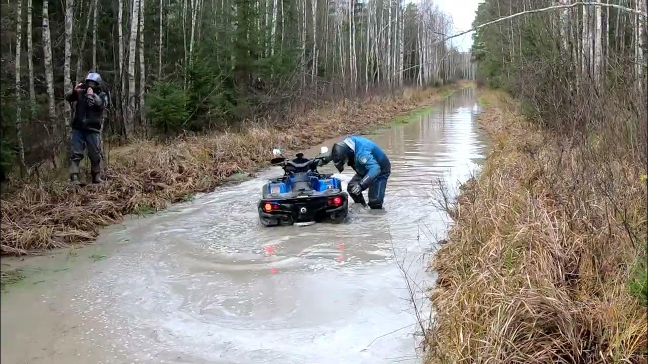 CF Moto квадроцикл лес покатушки