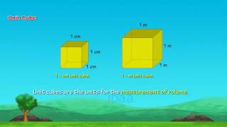 Class 5 Mathematics cube