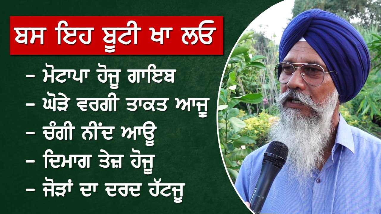 ਇੱਕੋ ਜੜ੍ਹੀ-ਬੂਟੀ ਦੇ ਕਈ ਲਾਭ, ਭੁੱਲ ਜਾਓਂਗੇ ਹਸਪਤਾਲ ਦਾ ਰਾਹ। Akhar