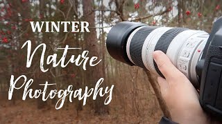 Winter Photo Walk | 100-400mm, 35mm, Mobile Phone Macro Photography