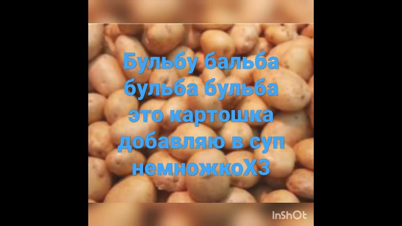бульба(картошка) - YouTube
