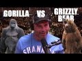 Joe Rogan Breakdown on Gorilla vs Grizzly Bear