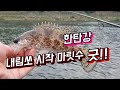한탄강 내림쏘 시기&amp;타이밍 중요 포인트 현 마릿수 굿^^ 늦기전에 달리세요♡