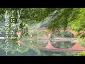 【群馬県】引き寄せられるようにダムに寄ったら水面が鏡のようだった! 坂本ダム 碓氷湖 青もみじ アイリスの丘