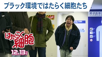 映画『はたらく細胞』ブラック環境ではたらく細胞たち（不摂生な父・茂の体内）2024年12月13日（金）公開！