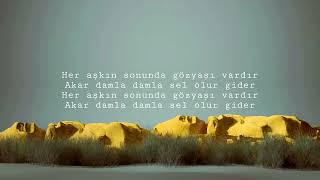 Neşe Karaböcek - Aşkın Kanunu