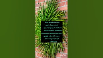 குழந்தைகளுக்கு ஞாபக சக்தி அதிகரிக்க சங்கடஹர சதுர்த்தி வழிபாடு#shorts#yt shorts#விநாயகர் 🪔🔯⛳🔱