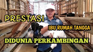 Peternak Kambing Ibu Rumah Tangga ??? Dmc Farm Donomulyo Malang Selatan
