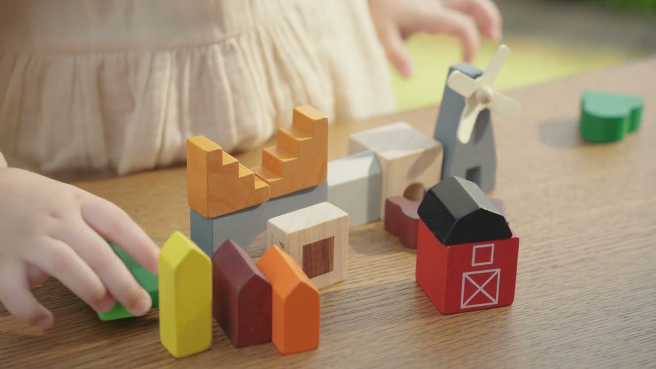 PlanToys | 5546 Country Blocks