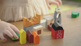 PlanToys | 5546 Country Blocks