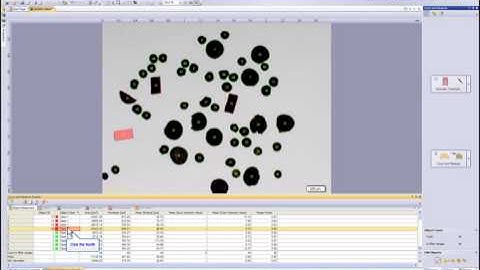 OLYMPUS Stream - Count and Measure with Particle Separation